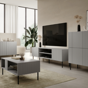 TV alus Asensio RTV-1